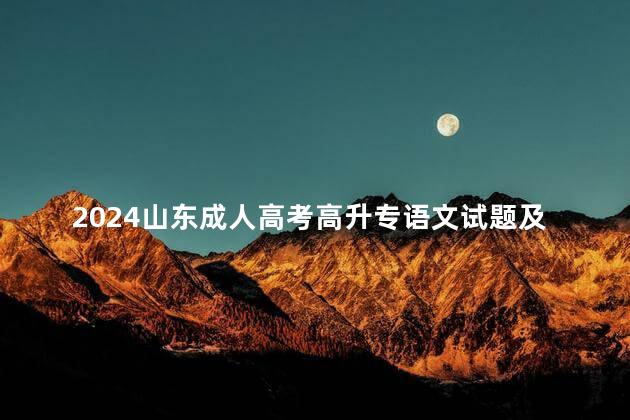 2024山东成人高考高升专语文试题及答案解析