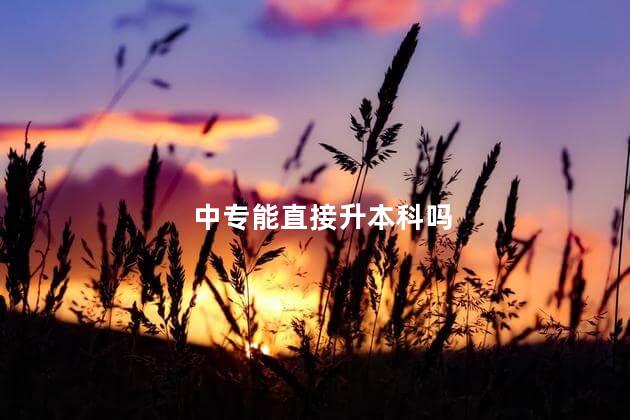 中专能直接升本科吗