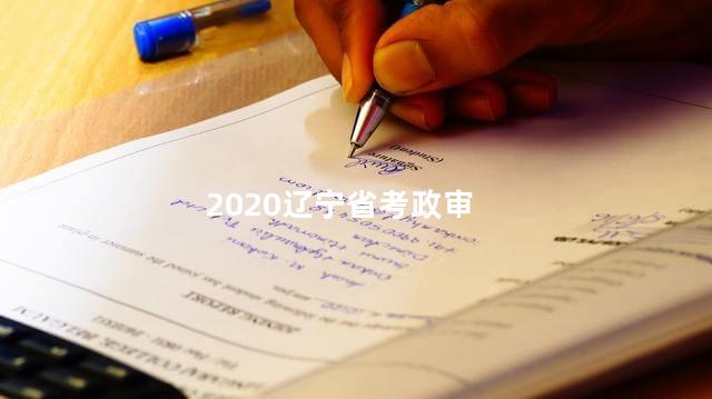 2020辽宁省考政审