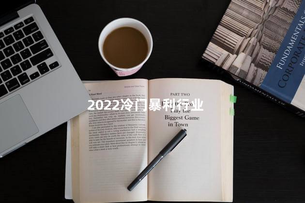 2022冷门暴利行业