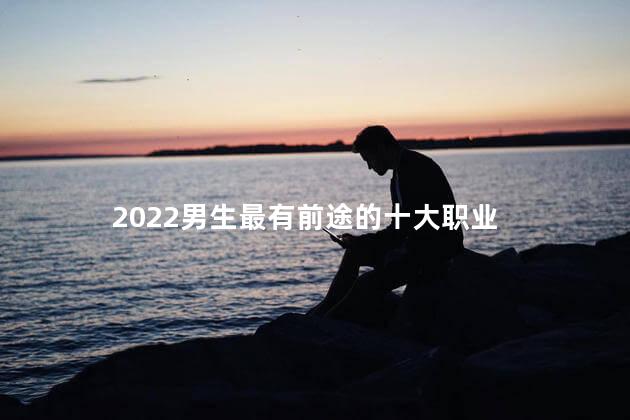 2022男生最有前途的十大职业