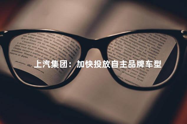 上汽集团：加快投放自主品牌车型