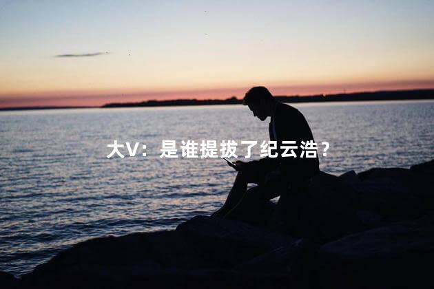 大V：是谁提拔了纪云浩？